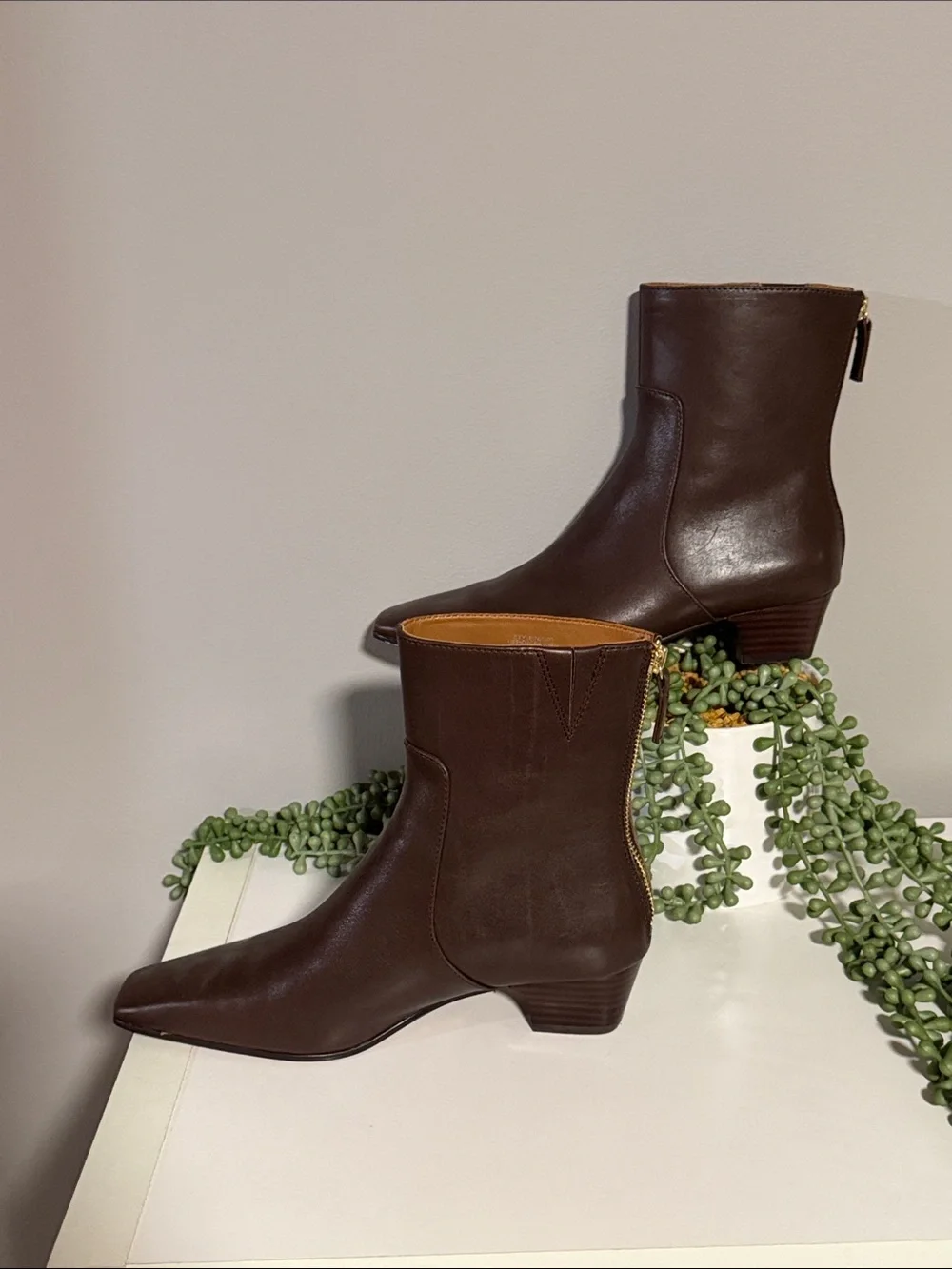 Lexie Ankle Boot in Leather by Madewell sz: 6